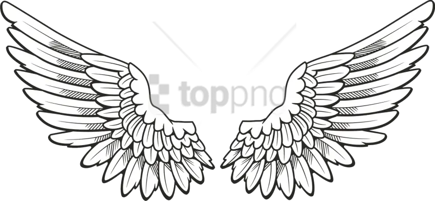 Angel Wings Transparent Back Png Fornat