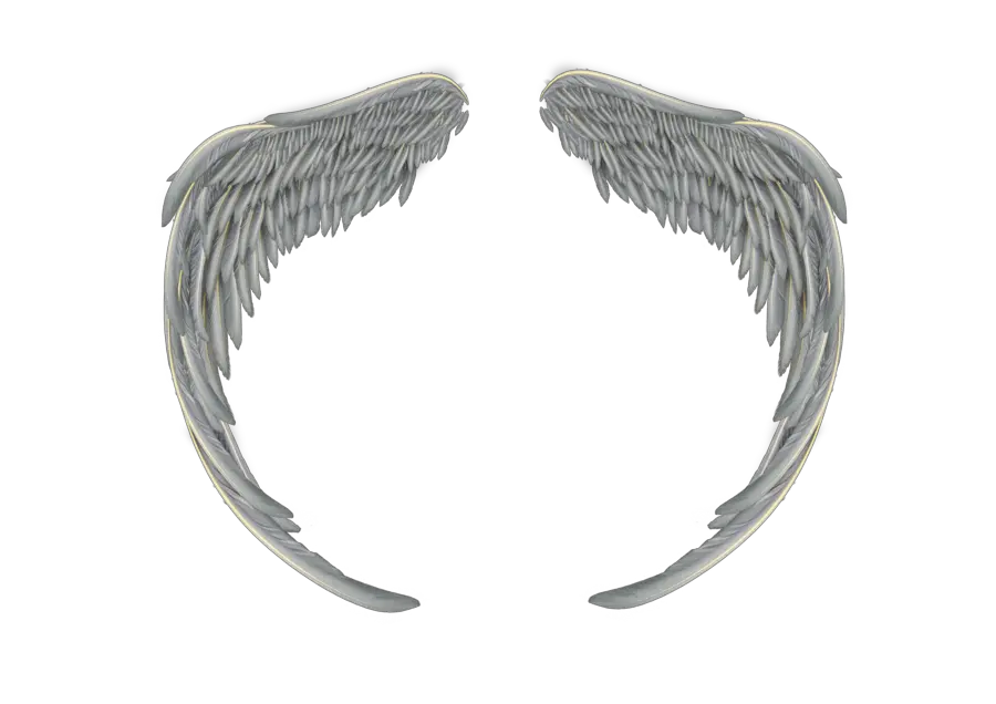 Angel Wings Tattoo Png Transparent