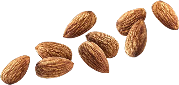 Download Free Nut Almond Hq Icon Favicon Freepngimg Almond Png Nut Icon