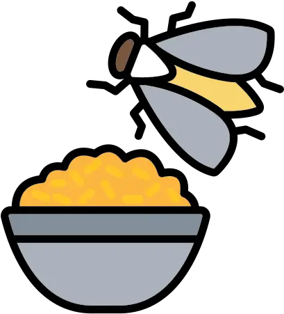 Dirty Food Flies Unfresh Not Eat Diseases Free Icon Of Flies On Food Cartoon Png Eat Png