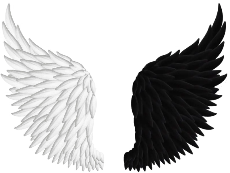 Angel Wings Png Art