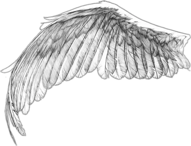 Angel Wings Memorial Png