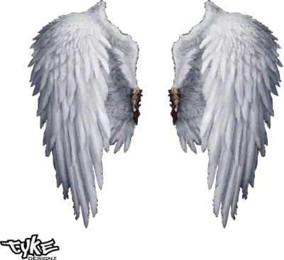 Angel Wings Gradient Png