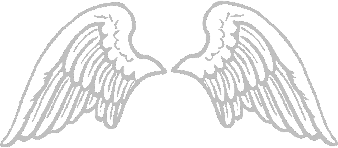 Angel Wings Doodle Png