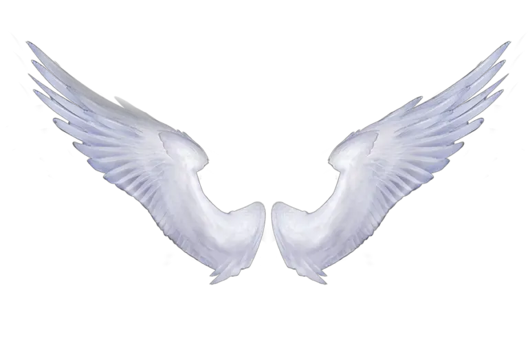 Angel Wings Cinematic Png