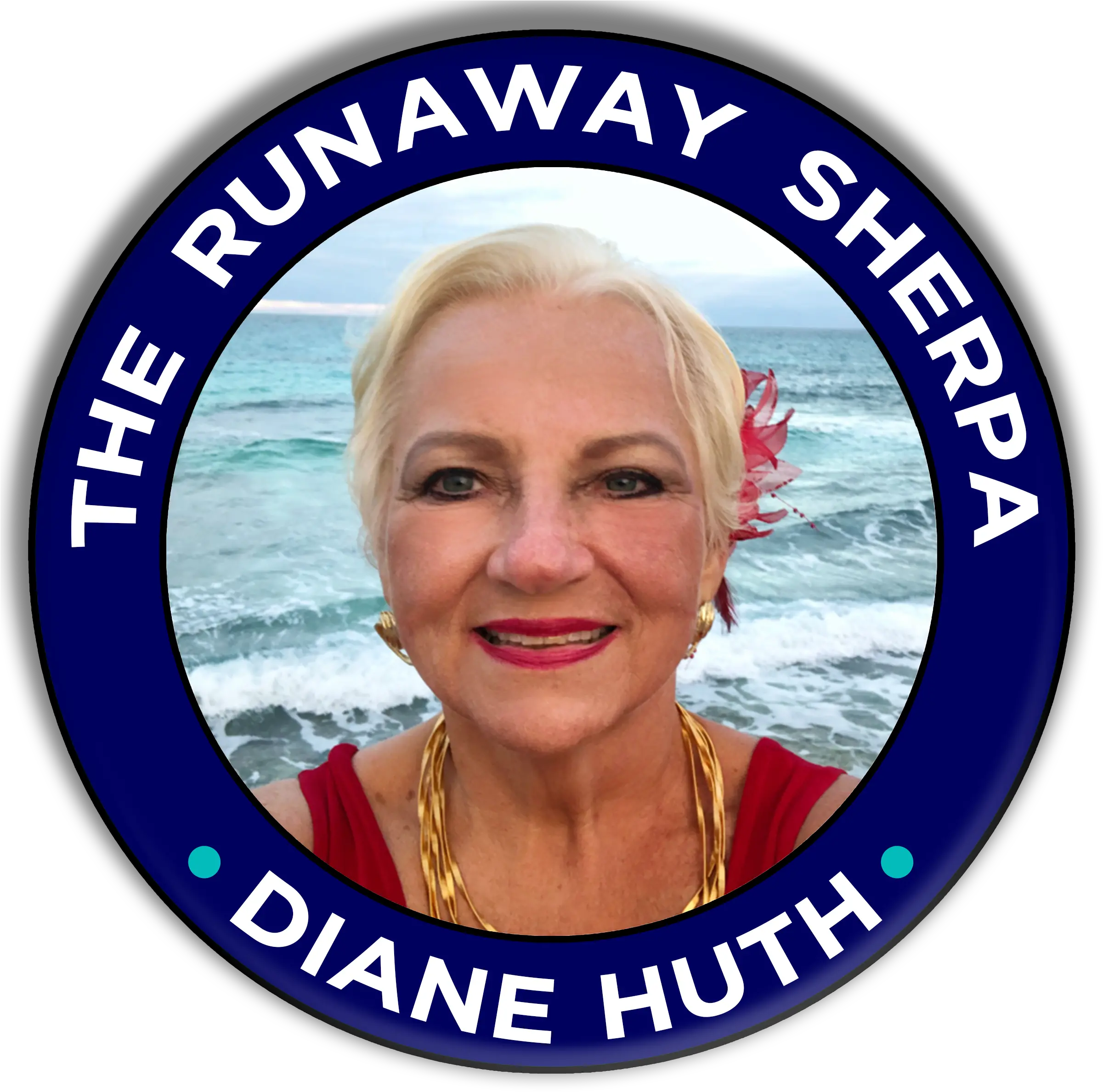 Diane Huth Washington Dc Event Logo Png Run Away Icon