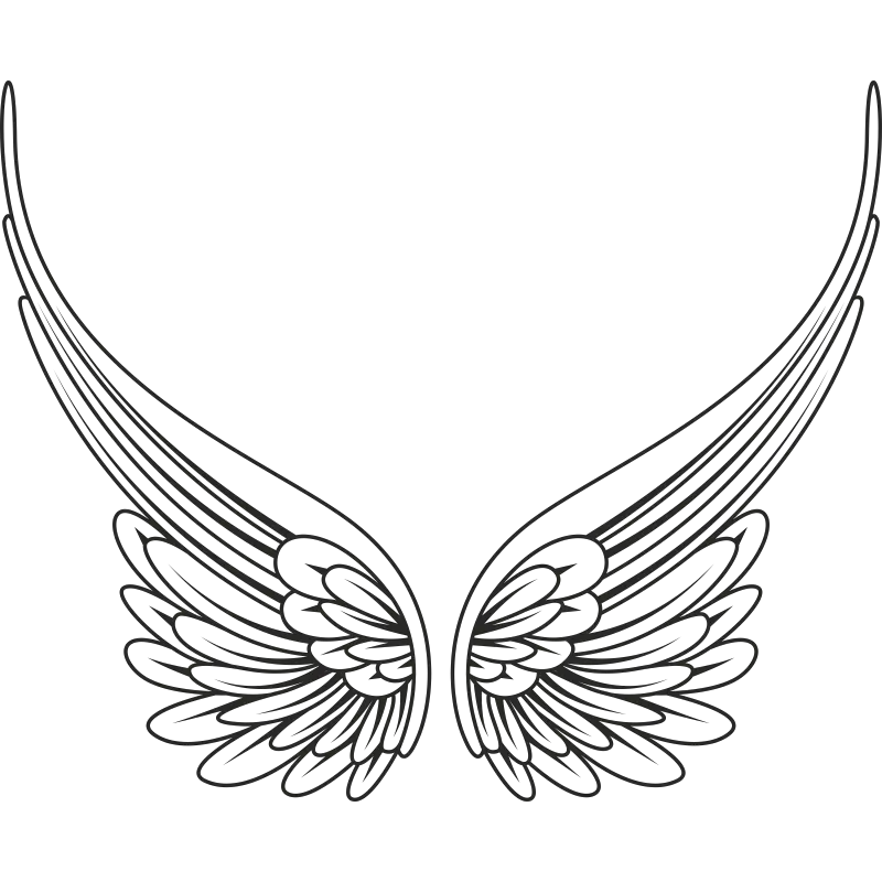 Angel Silver Wings Png