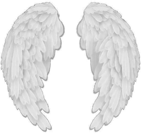 Angel Wings Png Tumblr