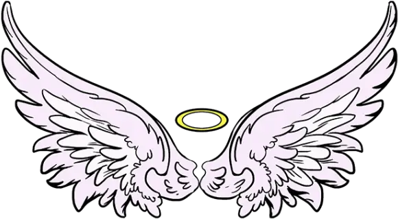 Angel Wings Png Video