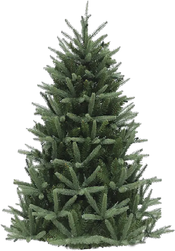 Artificial Christmas Trees Hicks Nurseries Christmas Tree Png Trees Top View Png