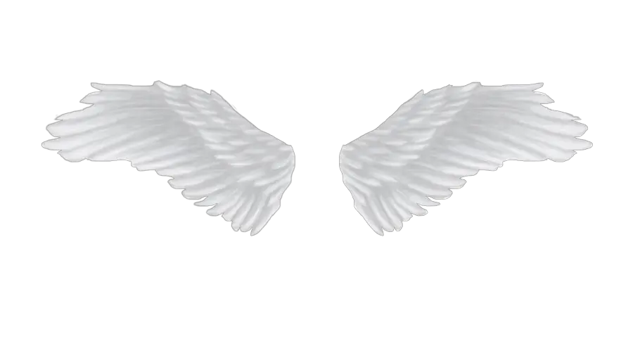 Red Angel Wings Png