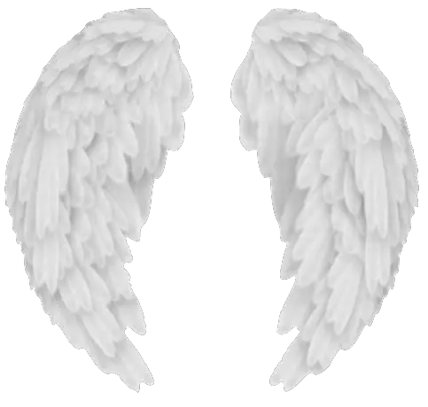 Glowing Angel Wings Png