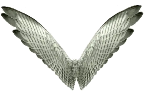 Fallen Angel Wings Png