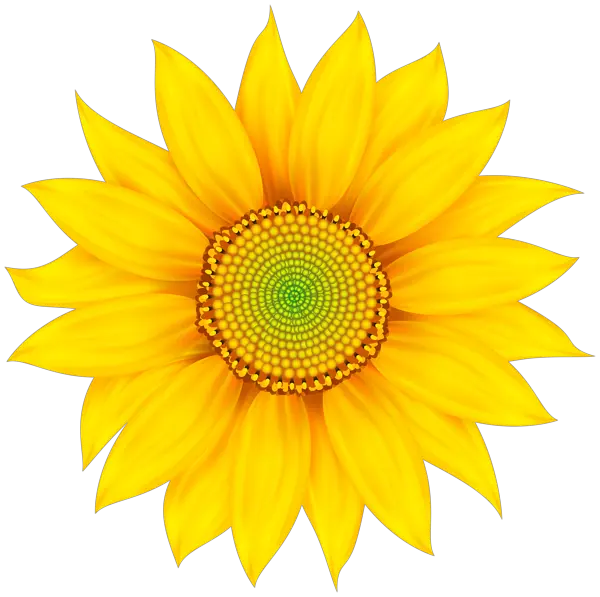 Mom Sunflower Png