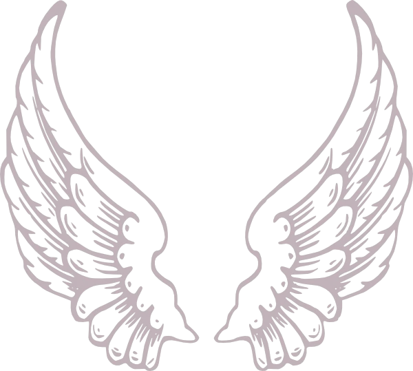 Angel Wings Png Hd