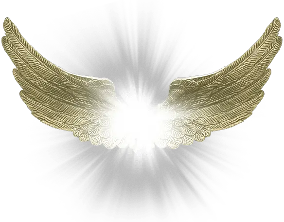 Angel Wings Png Vector