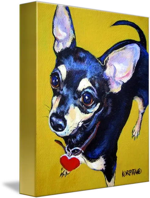 Little Bitty Chihuahua Funny Black Tan By Rebecca Korpita Black Chihuahua Painting Png Chihuahua Png