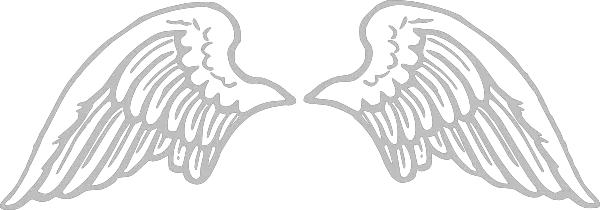 Angel Devil Wings Png