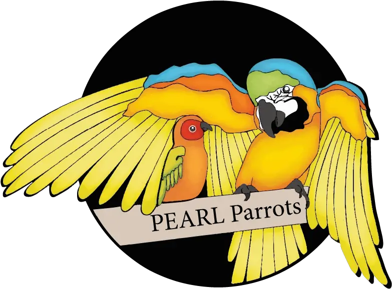 Announcing Our 2019 Charity Pearl Parrot Rescue U2014 Anthrocon Pearl Parrots Png Parrot Png