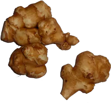 Ginger Png Images Free Png Library Jerusalem Artichoke Png Ginger Png