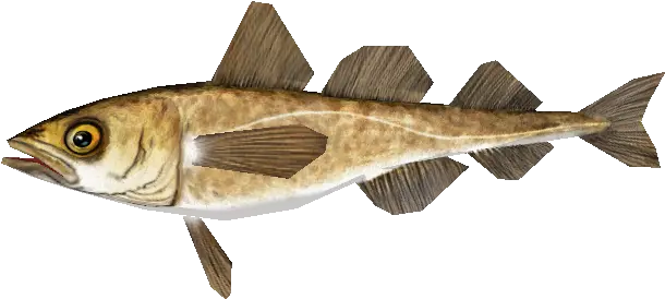 Pc Computer Zoo Tycoon 2 Arctic Cod The Models Resource Pollack Png Cod Png