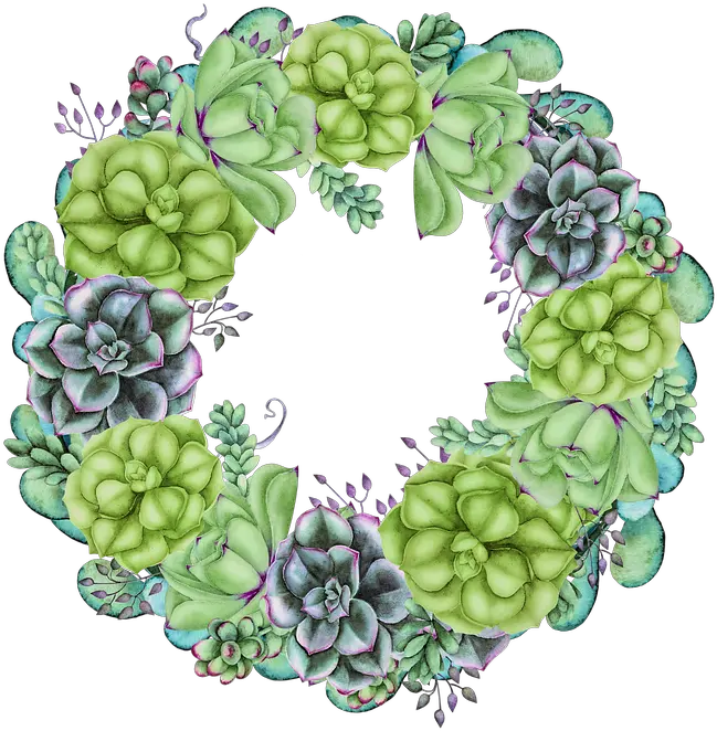 Wreath Succulent Floral Free Image On Pixabay Transparent Watercolor Succulent Wreath Png Succulent Png