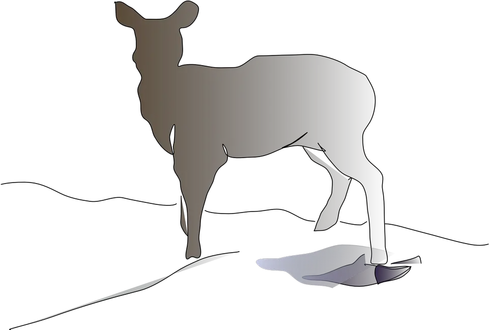 Deer Animal Mammal Free Vector Graphic On Pixabay Deer Png Buck Png