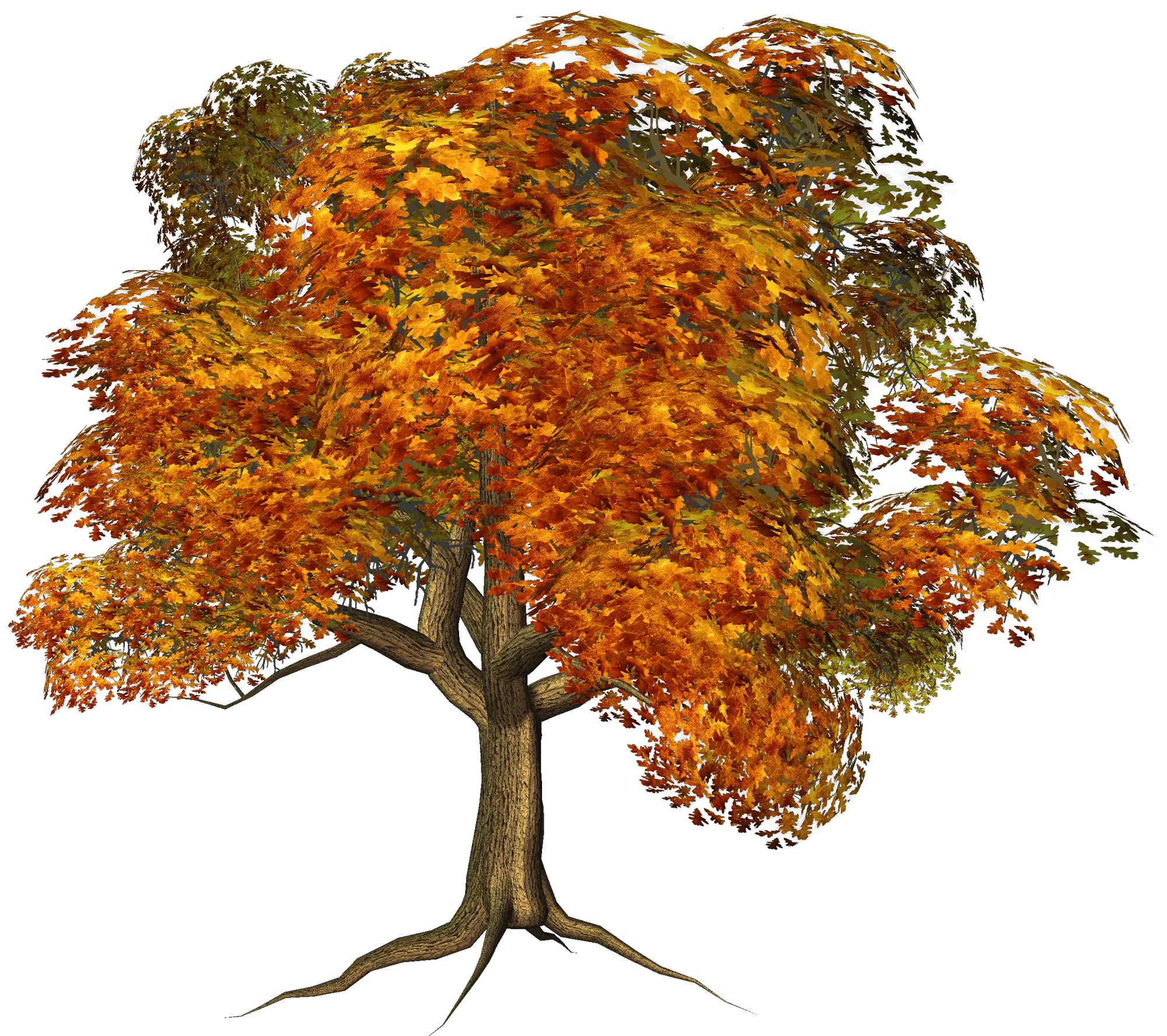 Fall Trees No Background Transparent Background Autumn Trees Png Trees Background Png