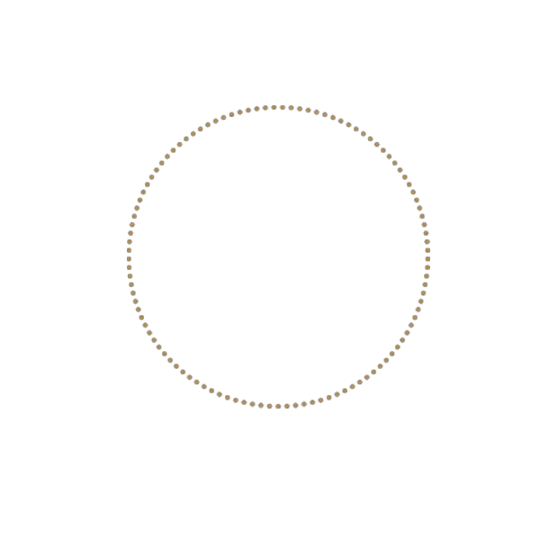 Glitter Circle Png