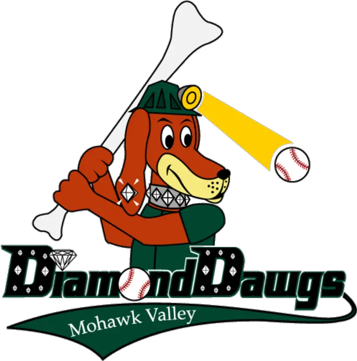 Download The Mohawk Valley Diamond Dawgs Winter Park Winter Park Diamond Dawgs Png Mohawk Png