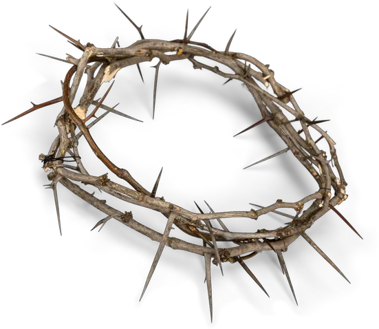 Crown Of Thorns Cartoon Transparent Woven Crown Of Thorns Png Thorn Crown Png