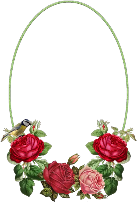 Rose Canvas Caratulas De Rosas Rojas Png Rosas Rojas Png