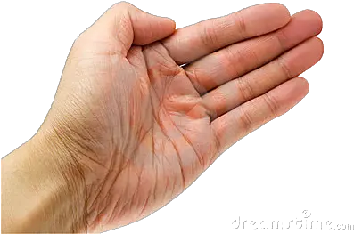 The Hand Of Correction Tasmainan D Open Hand Png Back Of Hand Png