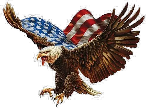 Bald Eagle Download Png Image American Flag Eagle Png Bald Eagle Transparent