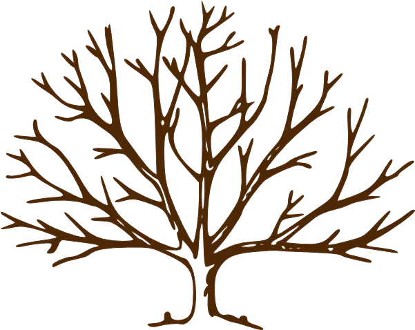 Bare Tree Drawing Free Download Bare Tree Clipart Png Tree Branches Png