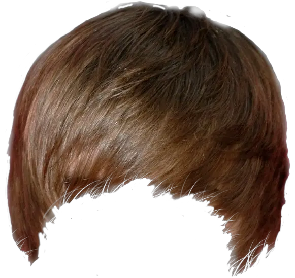 Download Hd Justin Bieber Hair Justin Bieber Hair Png Hair Png Transparent