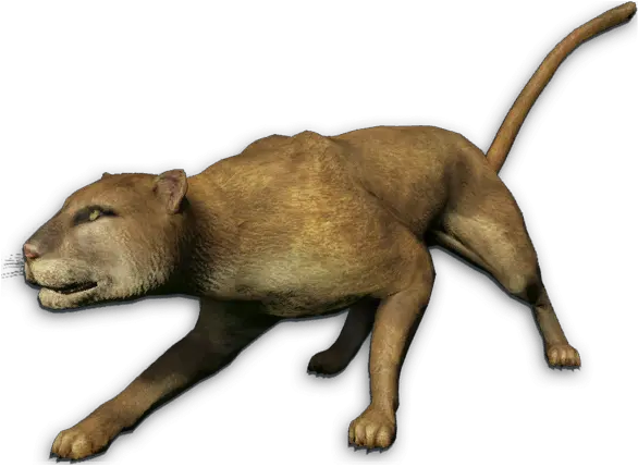 Mountain Lion Png 5 Image Far Cry 3 Thylacine Mountain Lion Png