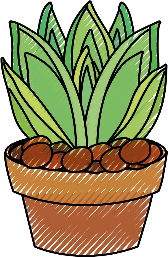 Succulent Clipart Clipartworld Vertical Png Succulent Icon Transparent