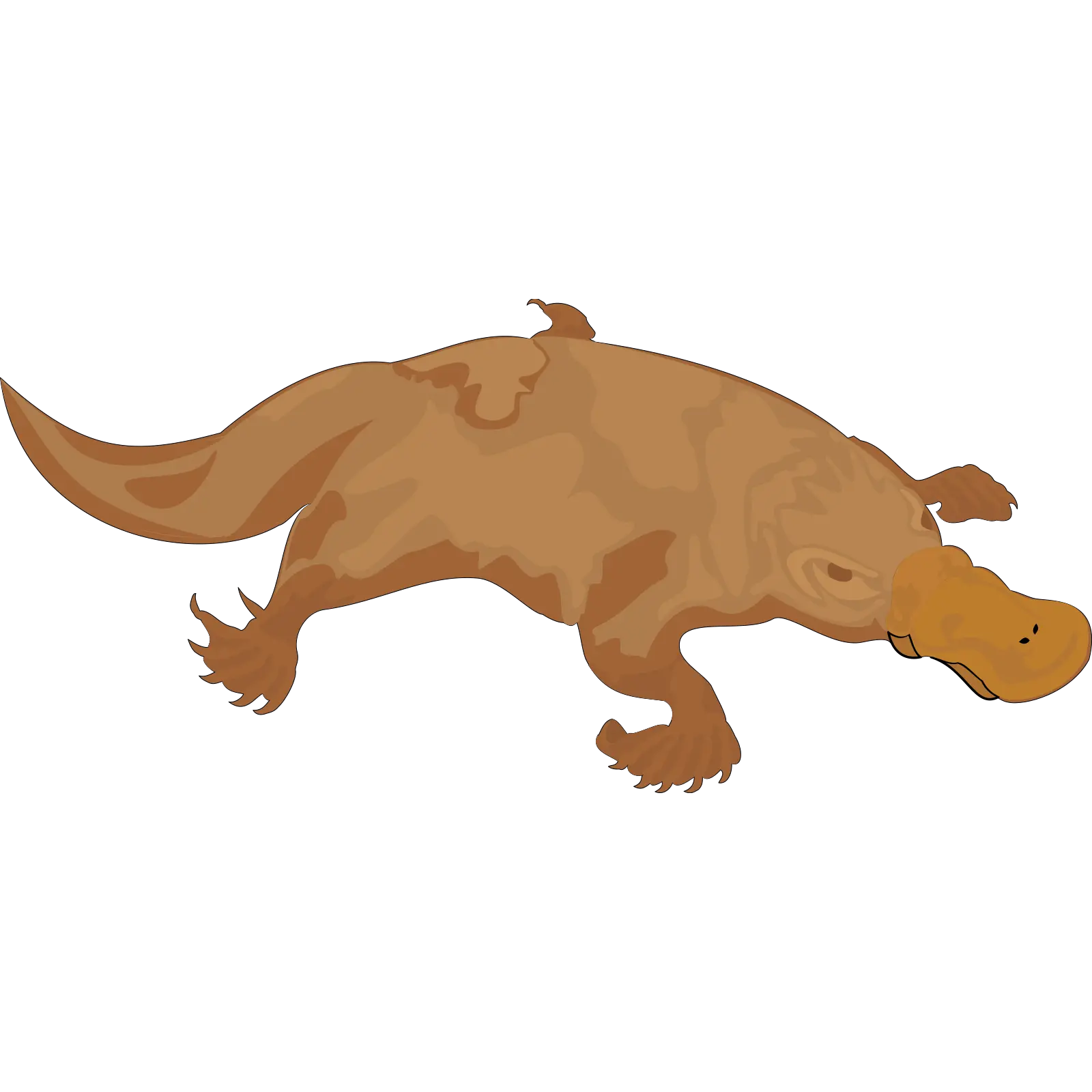 Platypus Brown Bill Transparent Platypus Silhouette Png Platypus Png