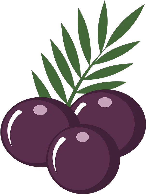 Acai Berries Clipart Free Download Transparent Png Creazilla Açai No Copo Clipart Berry Png