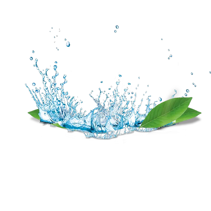 Water Wizz Logo Png