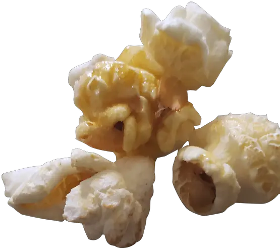 Shop All U2013 Still Poppin Gourmet Popcorn Fungus Png Popcorn Kernel Icon