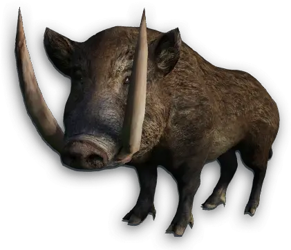 Boar Png Images Free Download Wild Pig Boars Png Hog Png