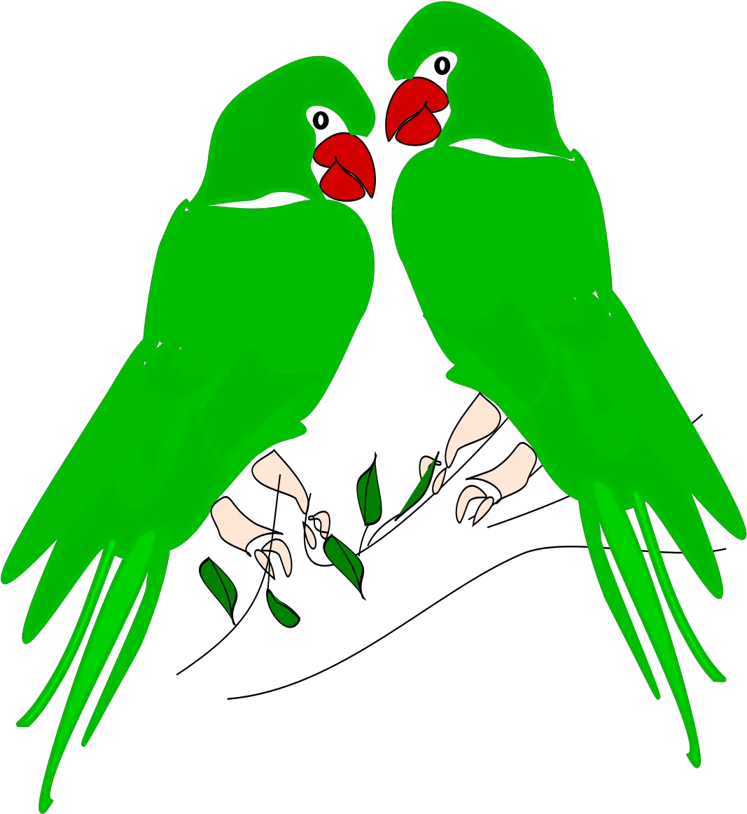 Download Parrotpngtransparentimagestransparent Parrots Png Parrot Transparent Background