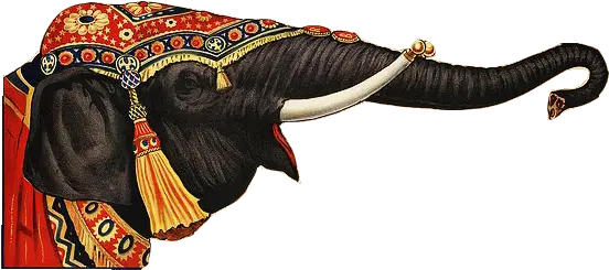 Download Hd Circus Elephant Cut Indian Elephant Png Circus Elephant Png