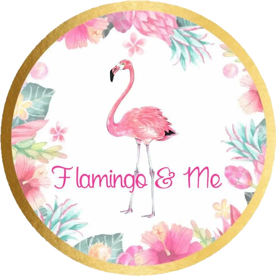 Home Flamingo U0026 Me Floristeria Vanessa Png Flamingo Transparent Background