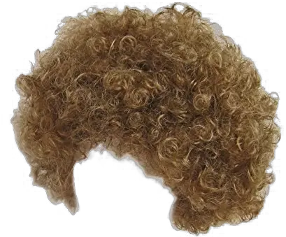 Wig Png Image Background Arts Bob Ross Wig Wig Transparent Background