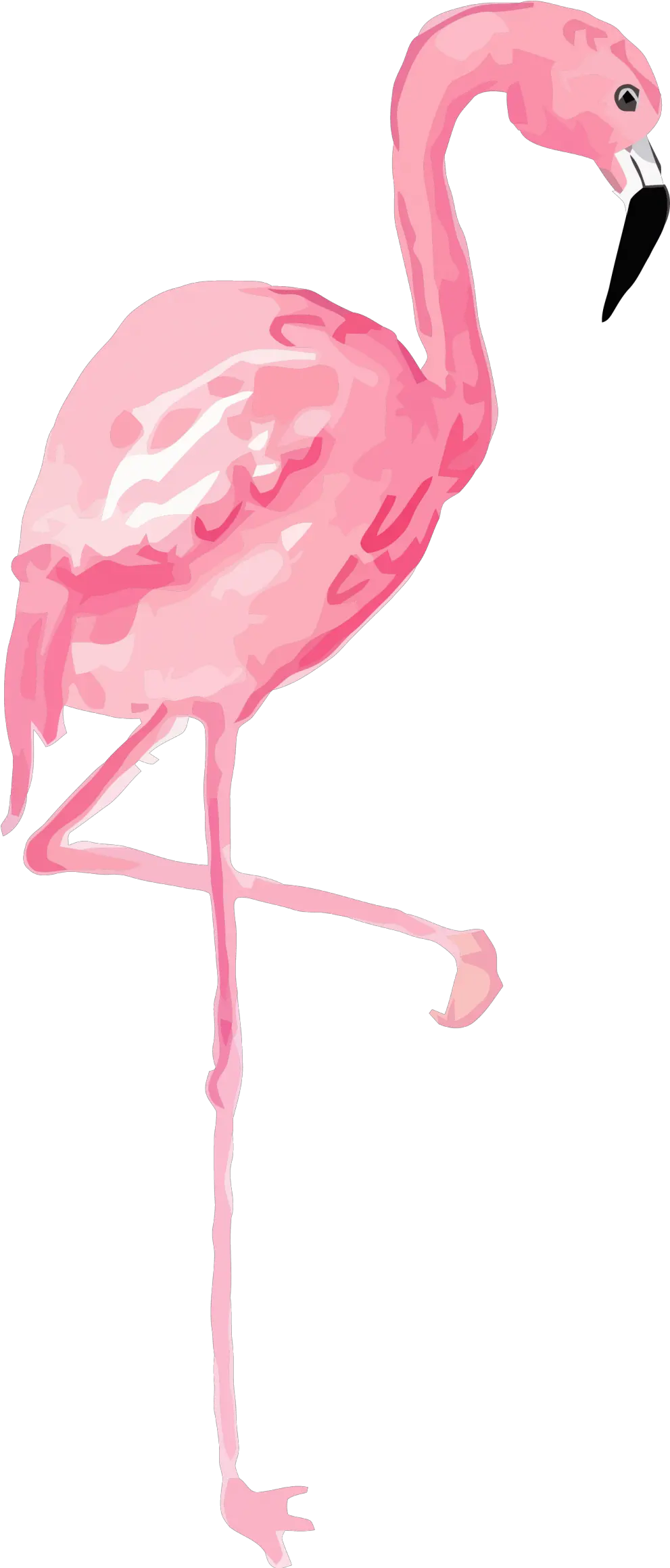 Flamingo Clipart Png Long Flamingo Clipart Png