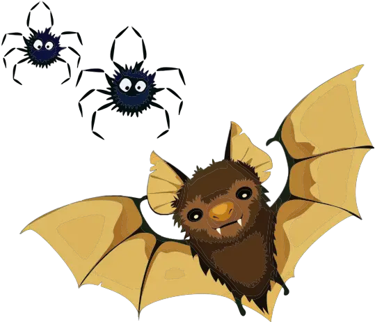 Vampire Bat And Spiders Free Svg Little Brown Bat Facts Png Cute Spider Png