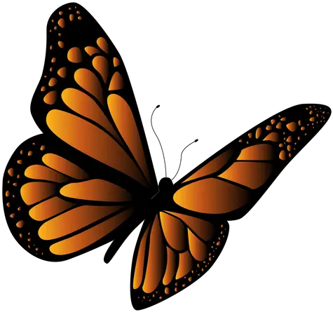 Transparent Png Svg Vector Butterfly Flying Stencil Butterfly Vector Png